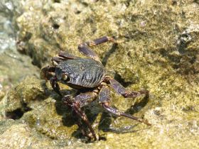 Tierwelt (11).jpg