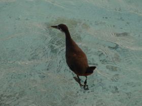 Tierwelt (19).jpg