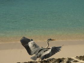 Tierwelt (22).jpg