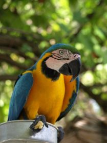 Tierwelt (4).jpg