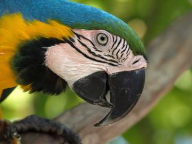 Tierwelt (5).jpg