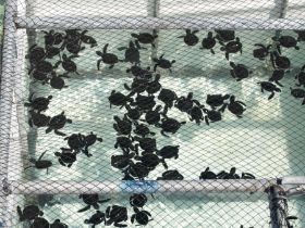 Tierwelt (7).jpg