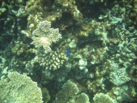 Schnorchelausflüge (44).jpg