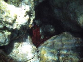 Schnorchelausflüge (48).jpg