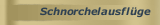 Schnorchelausflüge