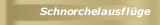 Schnorchelausflüge